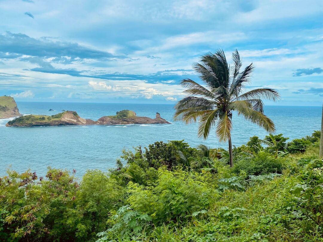 tropical island resort